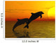 Two Dolphins Swimming Wall Mural