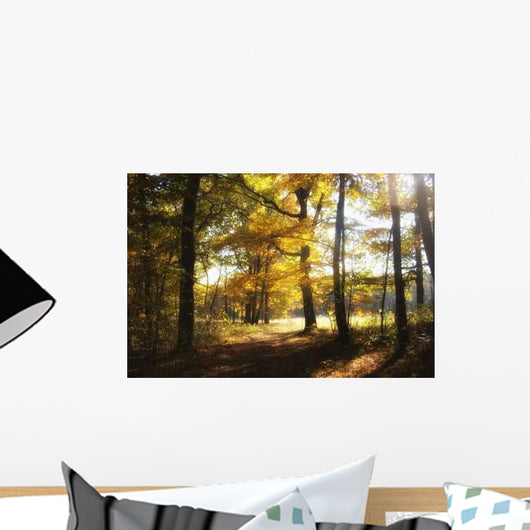 Autumn Forest Wall Decal Design 3