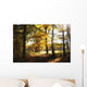 Autumn Forest Wall Decal Design 3