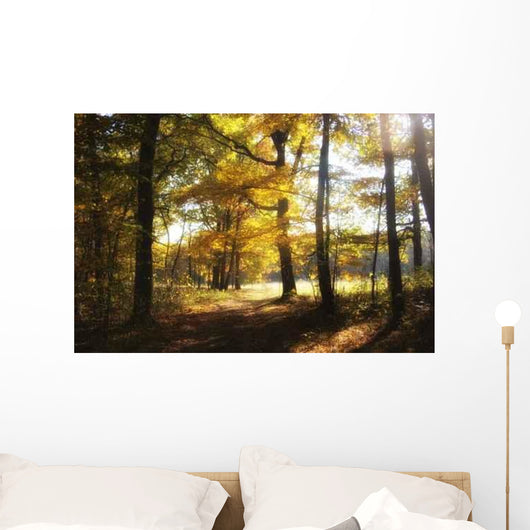 Autumn Forest Wall Decal Design 3