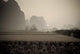 Field In Mountain Area, Toned Image Wall Mural