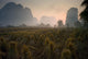Bundles In Mountain Area Wall Mural