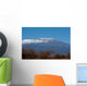Mount Kilimanjaro Wall Mural