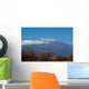 Mount Kilimanjaro Wall Mural