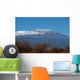 Mount Kilimanjaro Wall Mural