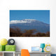 Mount Kilimanjaro Wall Mural