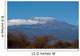 Mount Kilimanjaro Wall Mural