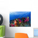 Soft Corals On Shallow Reef, Fiji Wall Mural