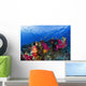 Soft Corals On Shallow Reef, Fiji Wall Mural