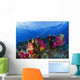 Soft Corals On Shallow Reef, Fiji Wall Mural