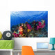 Soft Corals On Shallow Reef, Fiji Wall Mural