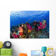 Soft Corals On Shallow Reef, Fiji Wall Mural
