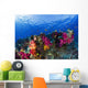 Soft Corals On Shallow Reef, Fiji Wall Mural