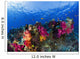 Soft Corals On Shallow Reef, Fiji Wall Mural