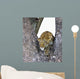 Leopard Wall Decal