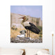 White Stork Wall Mural
