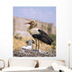 White Stork Wall Mural