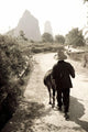 Man Walking Down Road With Water Buffalo Wall Mural