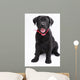 Labrador Wall Mural