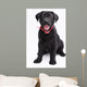 Labrador Wall Mural