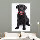 Labrador Wall Mural