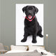 Labrador Wall Mural