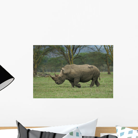 White Rhino Wall Mural