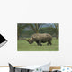 White Rhino Wall Mural
