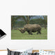 White Rhino Wall Mural