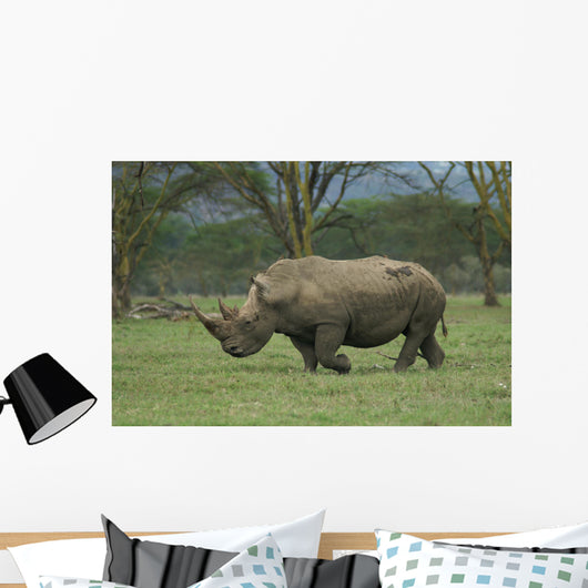 White Rhino Wall Mural