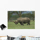 White Rhino Wall Mural