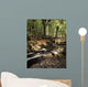 Creek In Woods, Cloughleagh, County Wicklow, Ireland Wall Mural