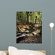 Creek In Woods, Cloughleagh, County Wicklow, Ireland Wall Mural