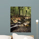 Creek In Woods, Cloughleagh, County Wicklow, Ireland Wall Mural