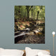 Creek In Woods, Cloughleagh, County Wicklow, Ireland Wall Mural