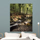 Creek In Woods, Cloughleagh, County Wicklow, Ireland Wall Mural