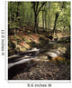 Creek In Woods, Cloughleagh, County Wicklow, Ireland Wall Mural
