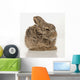 Baby Rabbit Wall Mural