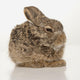 Baby Rabbit Wall Mural
