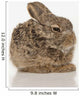 Baby Rabbit Wall Mural