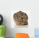 Baby Rabbit Cleaning Himself Wall Mural