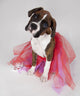 Portrait Of Dog Wearing Tutu Wall Mural