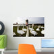 Large Flock Of Swan On Land Wall Mural