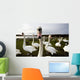 Large Flock Of Swan On Land Wall Mural