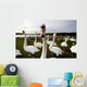 Large Flock Of Swan On Land Wall Mural