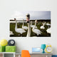 Large Flock Of Swan On Land Wall Mural