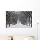 Assiniboine Park, Winnipeg, Manitoba, Canada Wall Mural