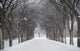 Assiniboine Park, Winnipeg, Manitoba, Canada Wall Mural