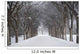 Assiniboine Park, Winnipeg, Manitoba, Canada Wall Mural