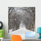 Assiniboine Park, Winnipeg, Manitoba, Canada Wall Mural